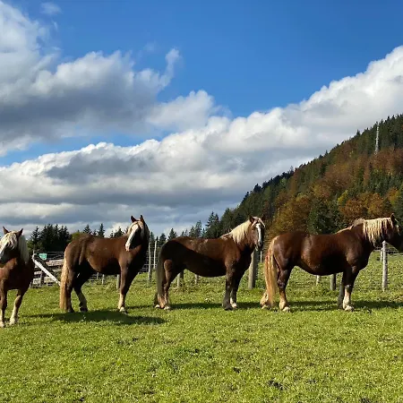 Tuxerhof 度假居 *