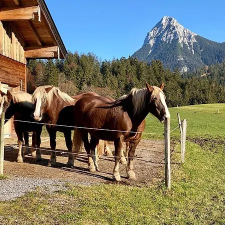 Tuxerhof 阿亨基希