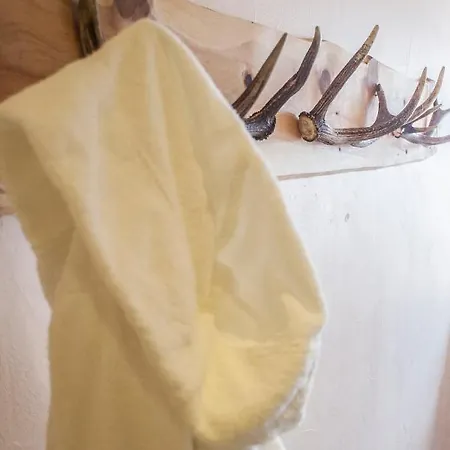 Tuxerhof 度假居 阿亨基希