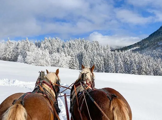 Tuxerhof Casa vacanze