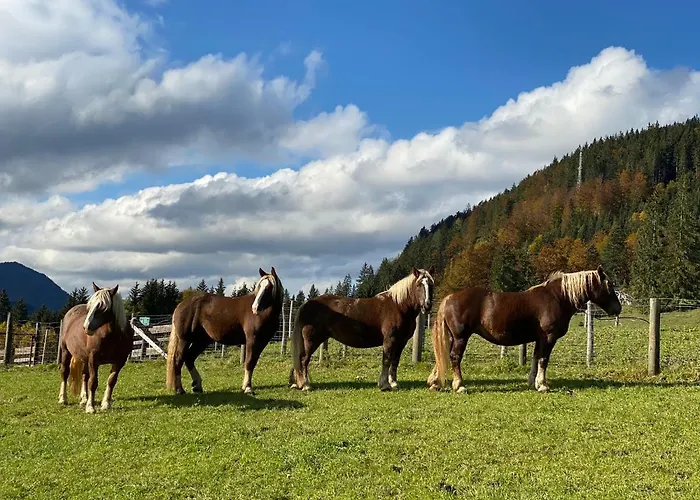 Tuxerhof Casa vacanze *