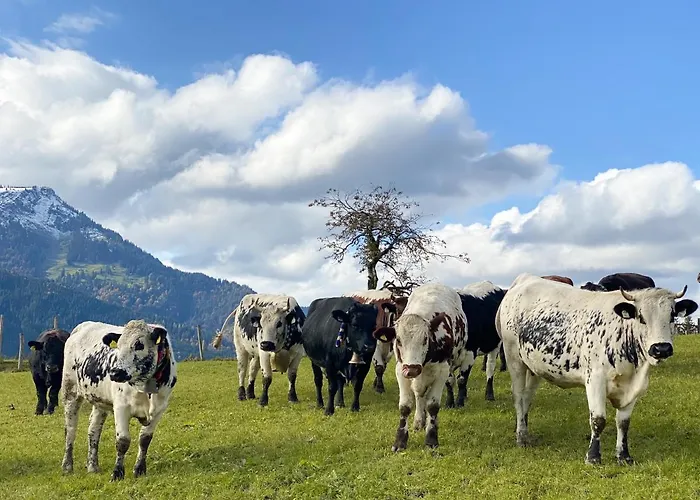 Casa vacanze Tuxerhof *