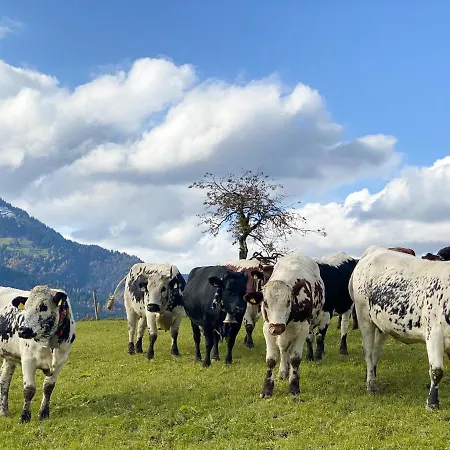 Holiday home Tuxerhof *